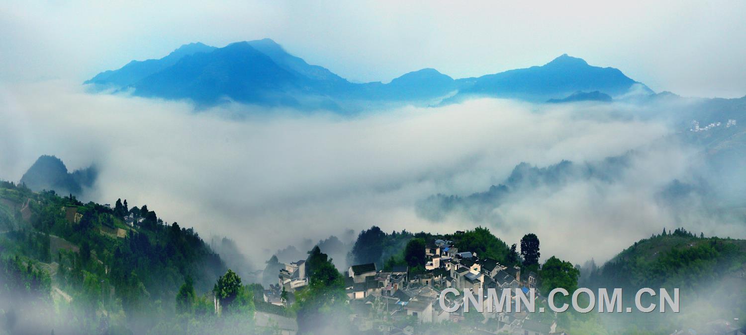 坡山遠眺